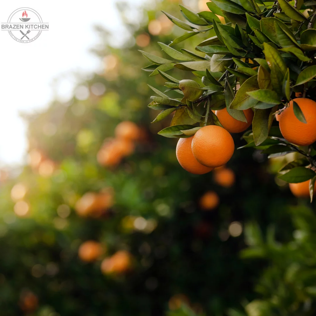 Which Oranges are the Best for Juicing?
